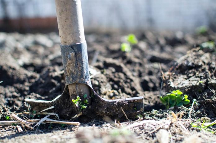 Waarom je tuin regelmatig omspitten? Tuinenmagazine.nl